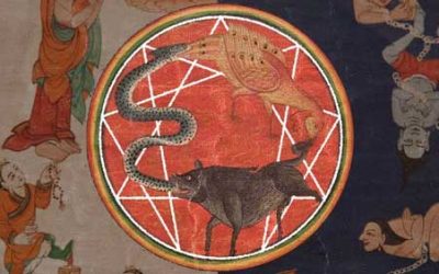 The Enneagram and the Three Poisons